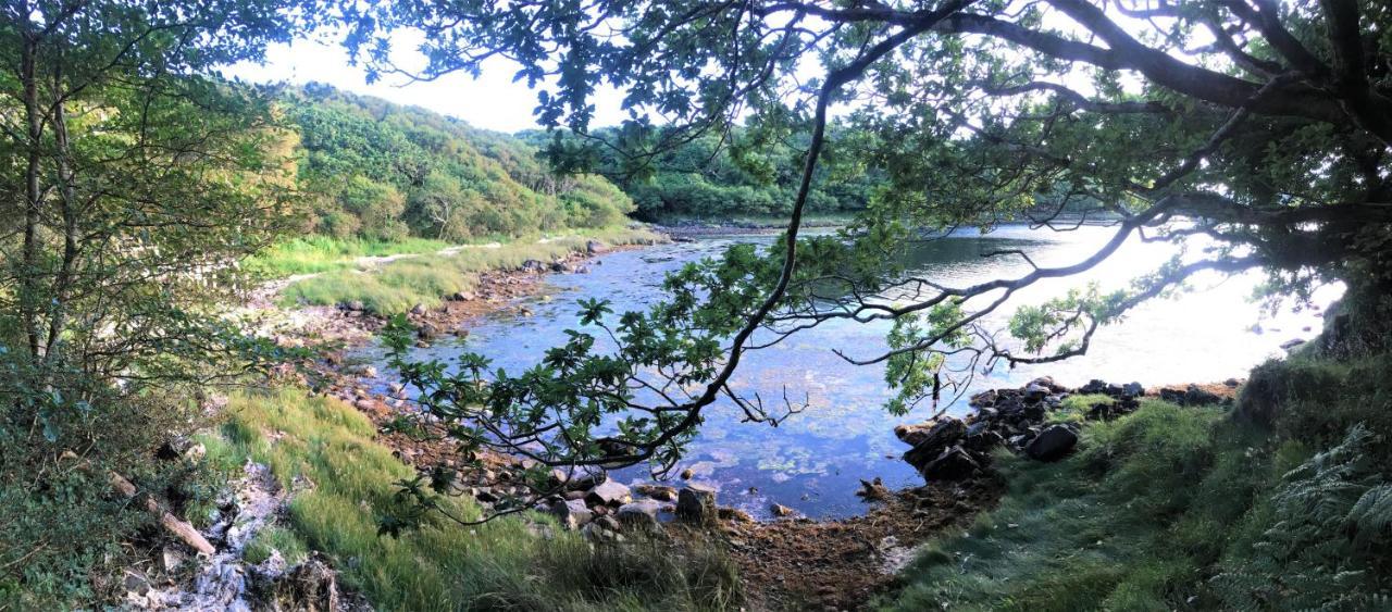 Fernwood Βίλα Clifden Εξωτερικό φωτογραφία