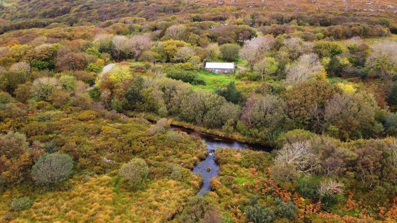 Fernwood Βίλα Clifden Εξωτερικό φωτογραφία