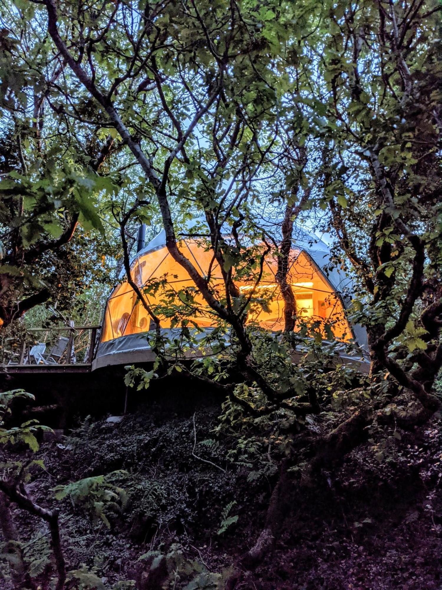 Fernwood Βίλα Clifden Δωμάτιο φωτογραφία