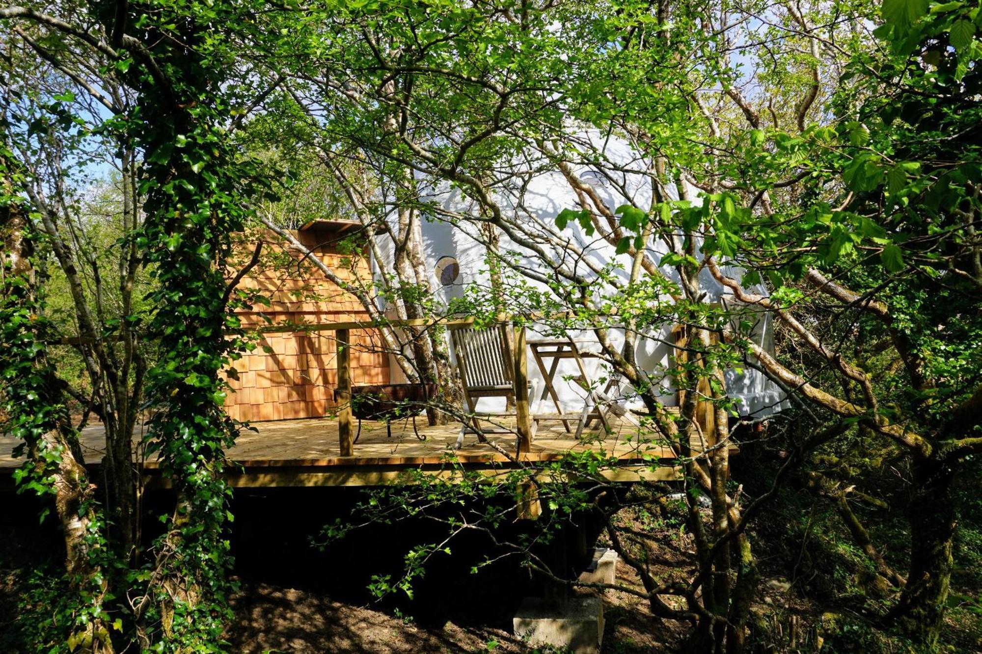 Fernwood Βίλα Clifden Δωμάτιο φωτογραφία
