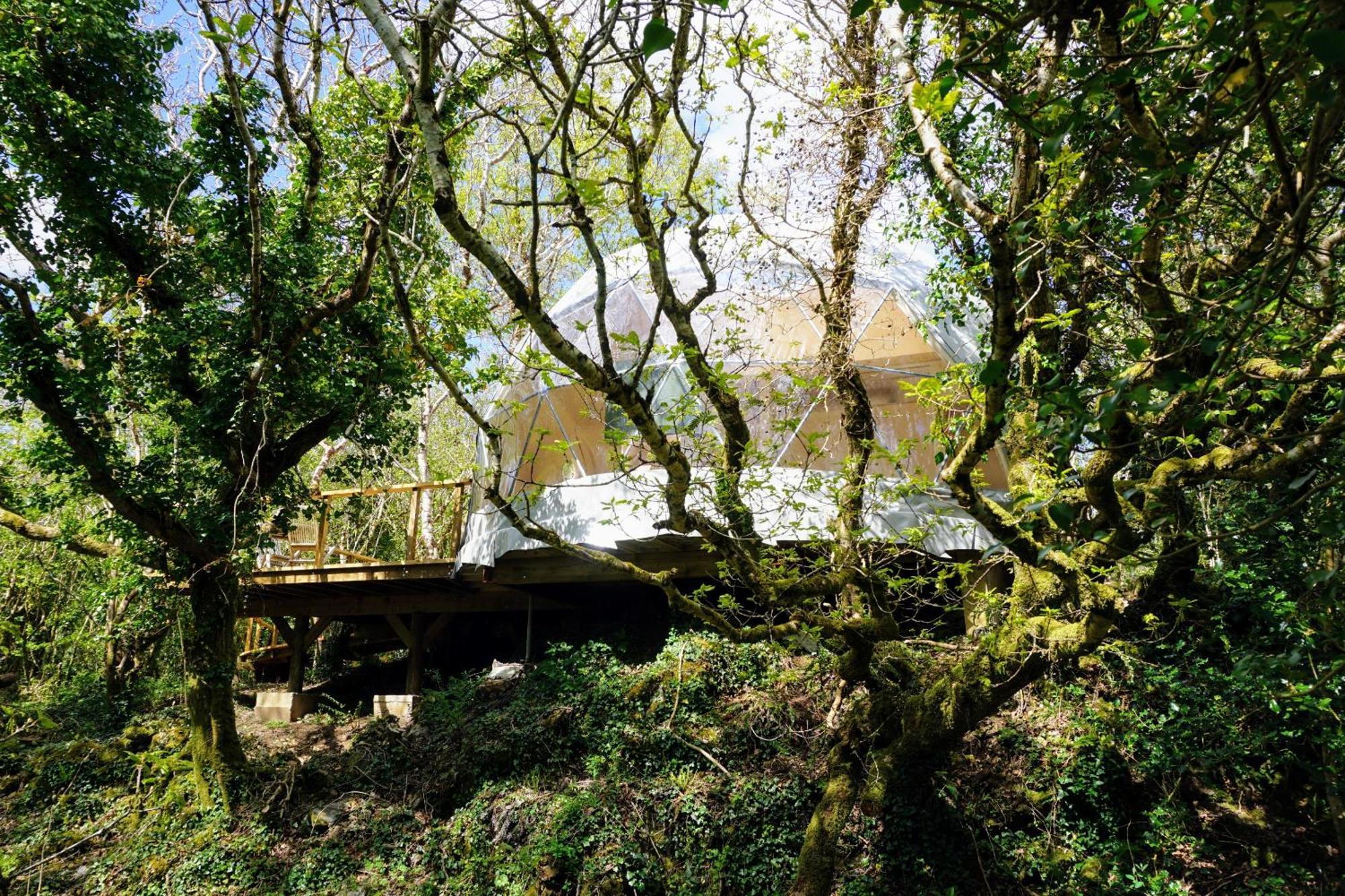 Fernwood Βίλα Clifden Δωμάτιο φωτογραφία